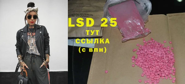 ПСИЛОЦИБИНОВЫЕ ГРИБЫ Белокуриха