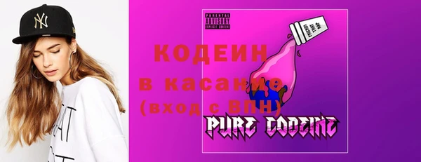 индика Балабаново