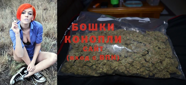 индика Балабаново