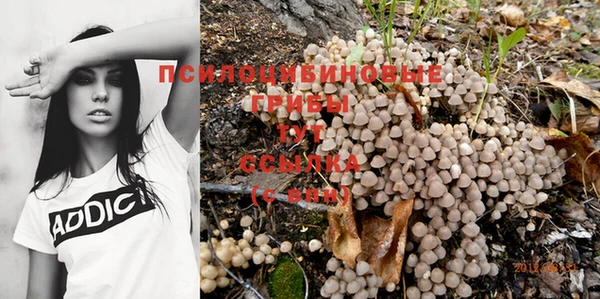 прущая мука Балахна